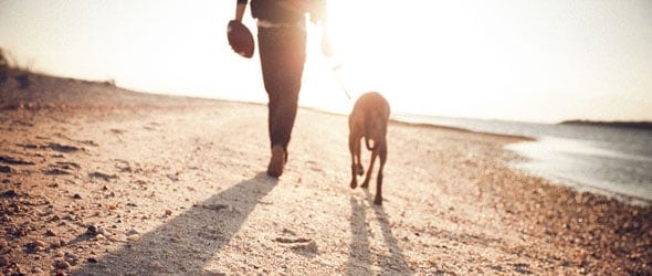 ACA Plan Autorenew for 2015 - TaxACT