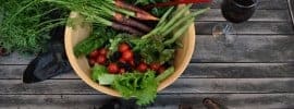 Dry Beans and Other Cheap Secrets of Healthy Eating | TaxACT