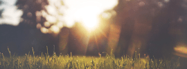 How the Affordable Care Act May Impact Your 2014 Tax Return - TaxACT Blog