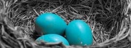 Scrambled Nest Eggs - TaxACT