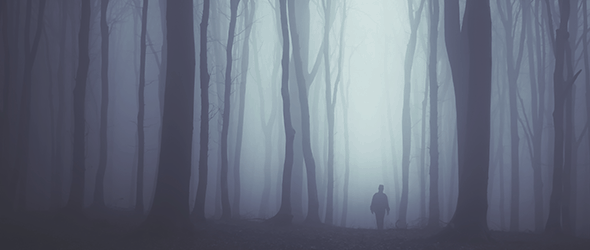 TaxACT Weekly Favorites