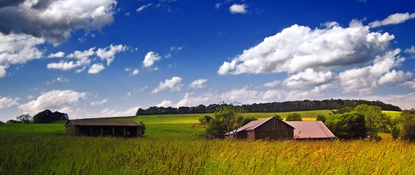 Weekly Favorites - August 23 2012 - TaxACT