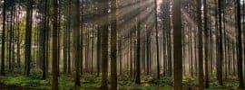 Weekly Favorites October 25, 2013 - TaxACT