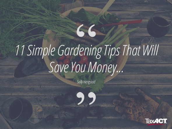 11 simple gardening tips banner