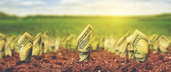Money planted in soil