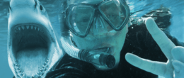 Scuba diver underwater showing ok signal and with an open mouth Shark in back.