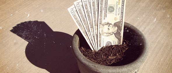 Dollar notes planting in a pot