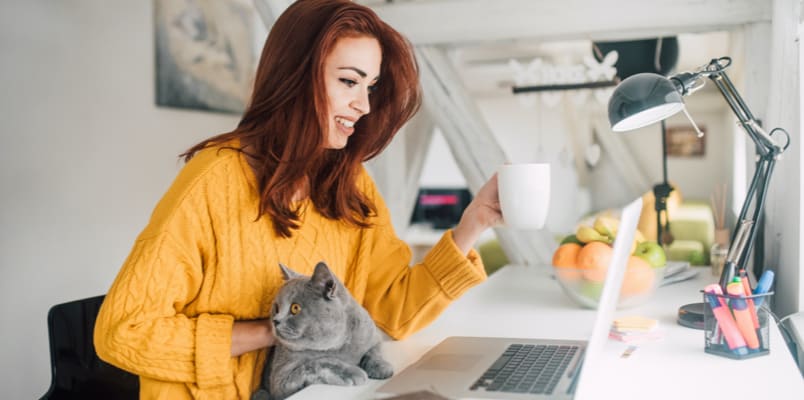 A women drinking coffee with while working at a laptop with a grey cat in her lap.
