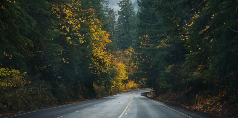 An empty highway running through a scenic forest of lush green and gold trees in autumn