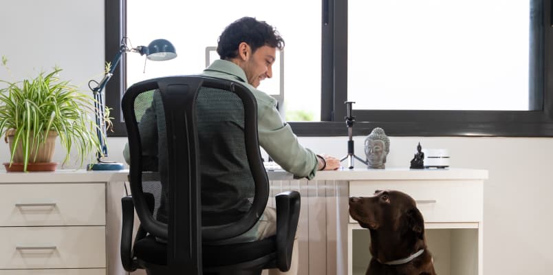 A small business owner in his home office smiling at his dog